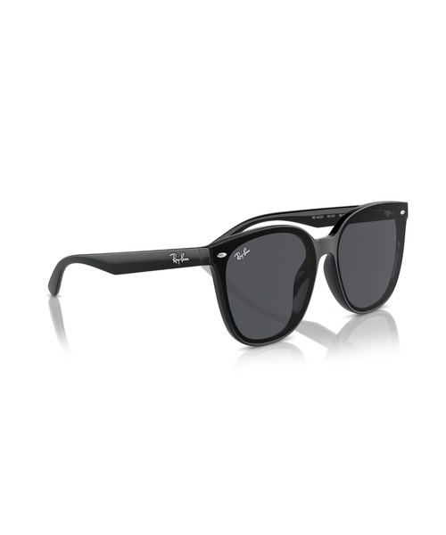レイバン サングラス Dmodels 0RB4423D 偏光レンズ Ray-Ban（レイバン） サングラス サングラス Dmodels 0RB4423D