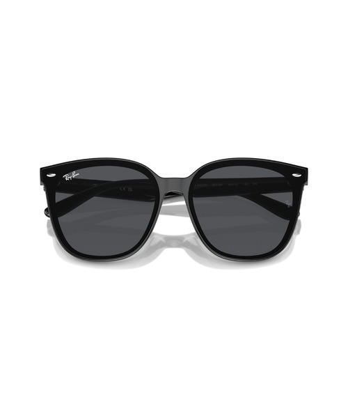 レイバン サングラス Dmodels 0RB4423D 偏光レンズ Ray-Ban サングラス レイバン Dmodels 0RB4423D (偏光レンズ