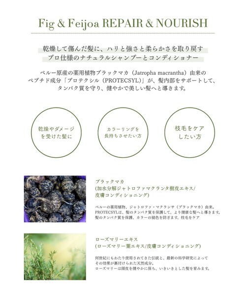コスメセット コフレ 「オンライン限定」シャンプー＆コンディショナー コンプリート トライアルセット | ANTIPODES | 02
