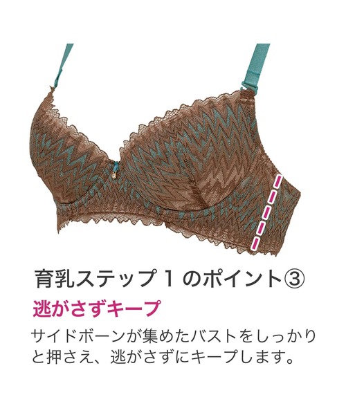 ブラデリスニューヨーク ステップ1 ウェンディタイプ ブラデリス ウェンディステップ1ブラ23S2 | ブラデリス