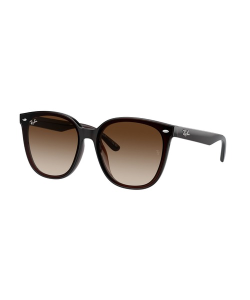 Ray-Ban サングラス レイバン Dmodels 0RB4423D (アジアン