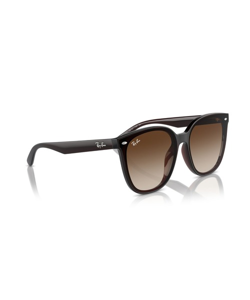 レイバン サングラス Dmodels 0RB4423D 偏光レンズ Ray-Ban サングラス レイバン Dmodels 0RB4423D (偏光レンズ