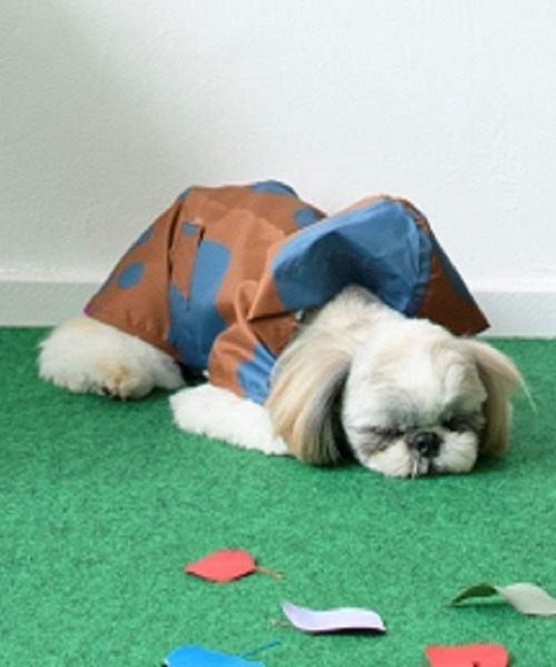 759円 正規店 ペット 392plusm DOG PONCHO ポンチョ