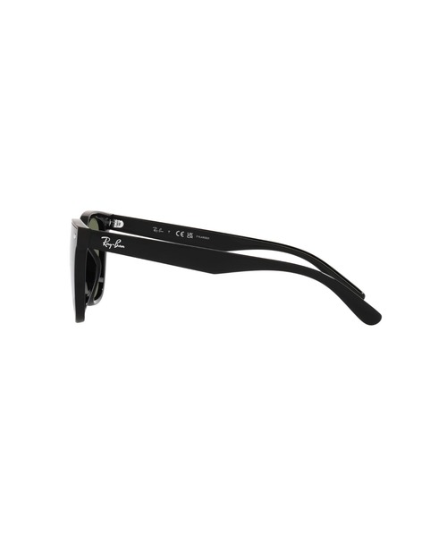 サングラス Ray-Ban レイバン サングラス Dmodels 0RB4391D (偏光レンズ・アジアンデザインモデル・ローブリッジフィット)の画像