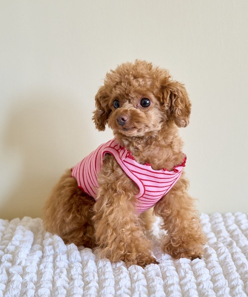 ロペピクニックピンク犬とペアセット ROPE' PICNIC（ロペ ピクニック） 犬 服 「DOG」マルチメロウボーダー