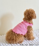 犬 服 「DOG」マルチメロウボーダートップス...の詳細画像2