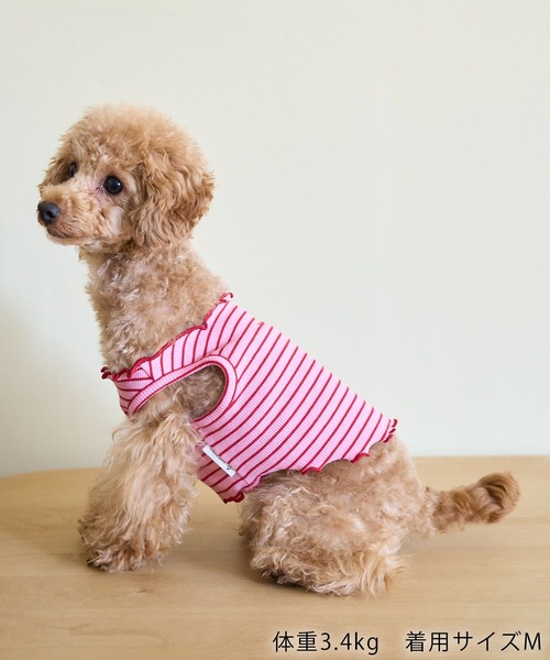 ロペピクニックピンク犬とペアセット ROPE' PICNIC（ロペ ピクニック） 犬 服 「DOG」マルチメロウボーダー