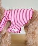 犬 服 「DOG」マルチメロウボーダートップス...の詳細画像5