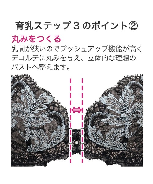 BRADELIS NewYork ブラジャー ジャクリーンステップ3ブラ23S1