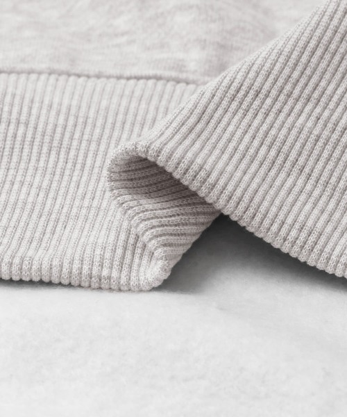 DAIWA PIER39 パーカー PIER39 Ws TECH SWEAT HOODIE レディース
