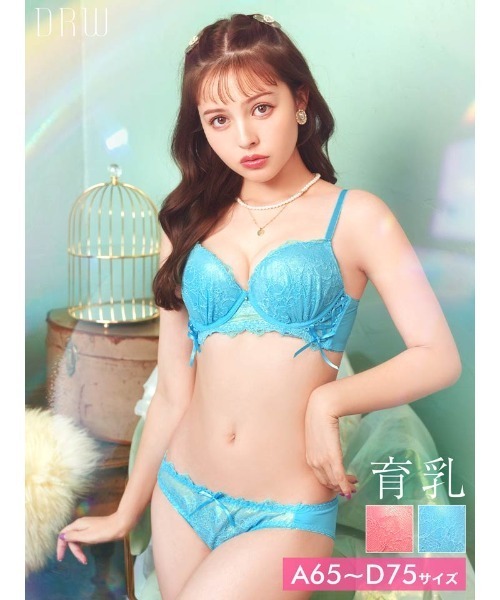 ブラジャー ショーツセット スパークル リボン レースアップ 育乳 脇高