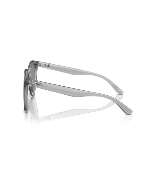Ray-Ban サングラス レイバン Dmodels 0RB4423D (アジアン