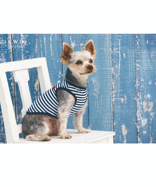 犬と生活 犬 服 犬と生活/クールボーダーマリン : ZOZOTOWN Yahoo!店