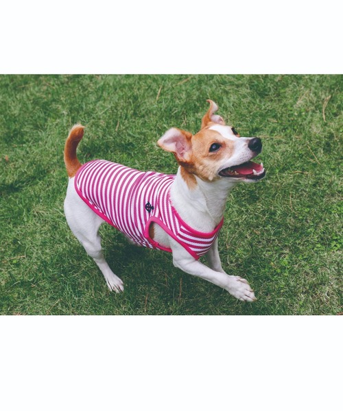犬と生活 犬 服 犬と生活/クールボーダーマリン : ZOZOTOWN Yahoo!店
