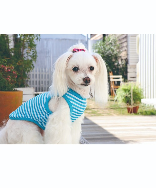 犬と生活のおすすめ人気商品一覧 通販 - Yahoo!ショッピング