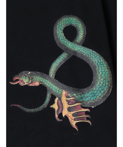 「PAMEO POSE」 半袖Tシャツ FREE ブラック レディース_画像6
