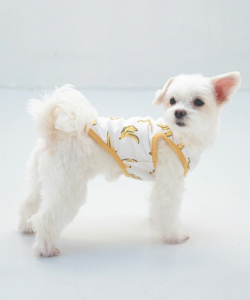 △Life with Dogs 犬と生活 カレッジパーカー3号セット4000 カレッジパーカー（24AWTW7739）｜犬用品（犬用品）｜ペット総合