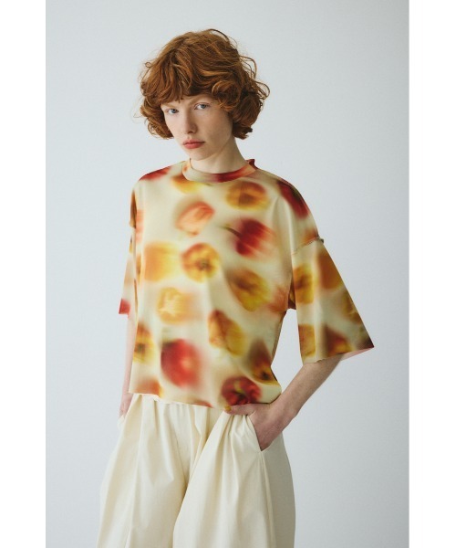 HeRIN.CYE tシャツ Paprika pattern tops パプリカパターントップス