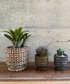 �ԕr �u���ꌊ�E�󂯎M�t���vYARD inc - CUBIC pot �� saucer - �i�q�͗l���֖�̕\����y���ޖ�3�`5���Ή��̃Z���~�b�N�A�ؔ��V���[�Y�@M�T�C�Y �֘A�摜1