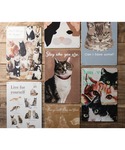 ポスター 猫デザイン アンティーク調 壁掛け ...の詳細画像1