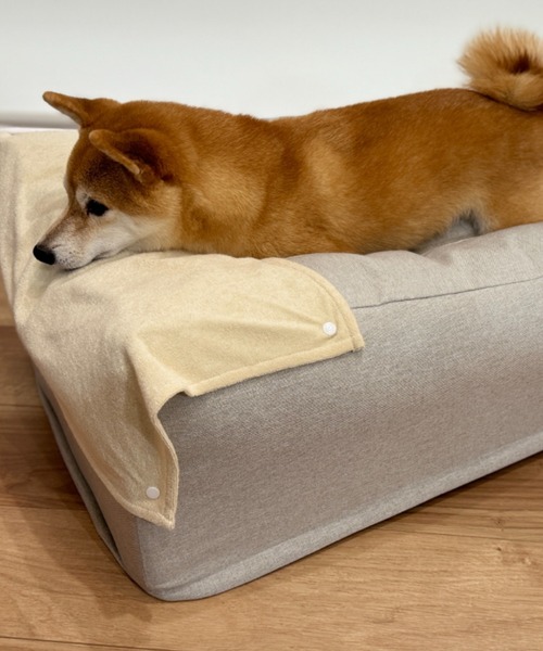 EMOOR（エムール） ペット マット 大切な家族のための介護用Eドッグ