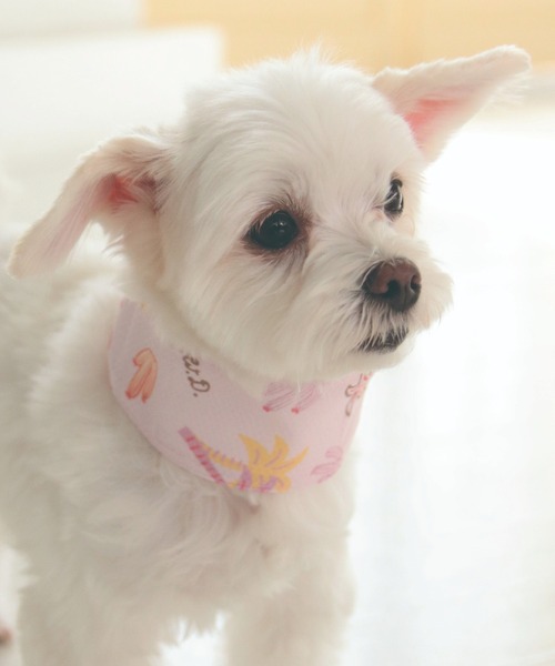 犬と生活 犬 服 犬と生活/防虫クールネックバンドEX（ソフト保冷剤入