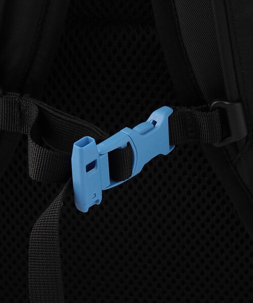 THE NORTH FACE（ザ ノースフェイス） ノースフェイス リュック 「THE