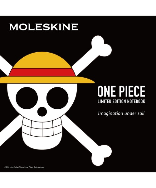 新品本物 手帳 Moleskine ノート ワンピース 限定版ノートブック ハードカバー ラージサイズ 横罫 Tilapiadelago Com Ec