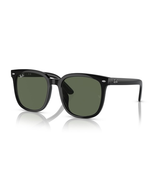 Ray-Ban/レイバン サングラス RB4401D D models Ray-Ban（レイバン） サングラス サングラス Dmodels 0RB4401D