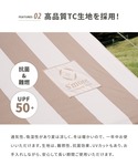 Tarppi R-400 Stripeの詳細画像4