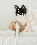 犬 服 プリーツショルダーワンピース (セット)の詳細画像1