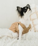 犬 服 プリーツショルダーワンピース (セット)の詳細画像3