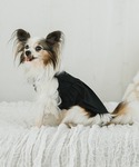 犬 服 プリーツショルダーワンピース (セット)の詳細画像5