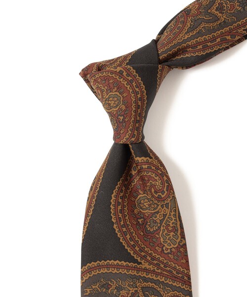 BEAMS F（ビームスF） ネクタイ Holliday ＆ Brown / シルク