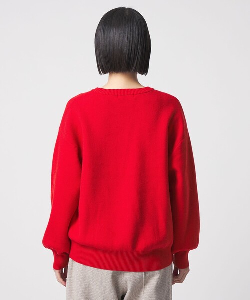 A DAY IN THE LIFE ニット セーター スムース クルーネックニット「A