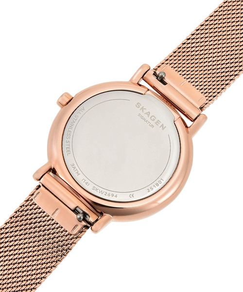 SKAGEN 腕時計 26mm ゴールド ステンレス Skagen ANITA LILLE 三針 ゴールドトーン ステンレススチール
