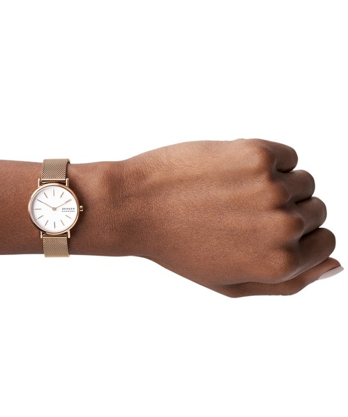 skw2616⭐️新品未使用⭐️SKAGEN 腕時計 レディース SKAGEN 腕時計 スカーゲン レディース アナログ ステンレス