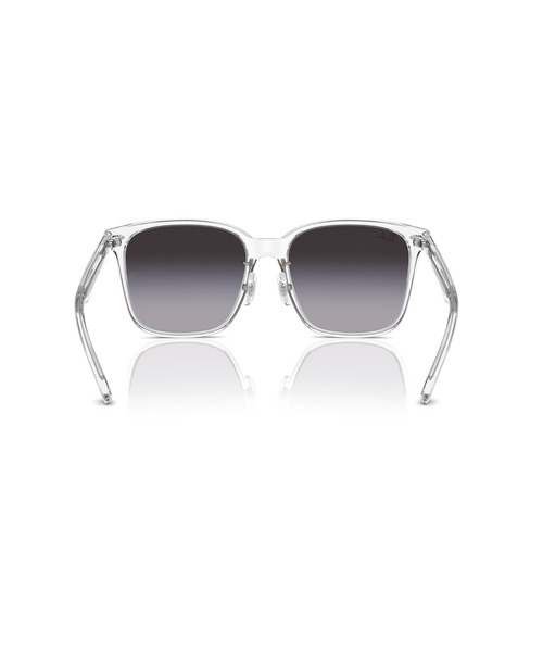 サングラス Ray-Ban レイバン サングラス Dmodels 0RB2206D (アジアンデザインモデル・ローブリッジフィット)