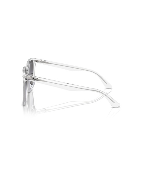 サングラス Ray-Ban レイバン サングラス Dmodels 0RB2206D (アジアンデザインモデル・ローブリッジフィット)