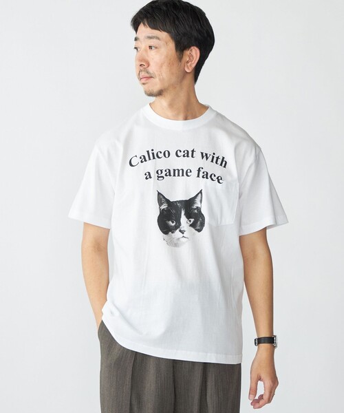 SHIPS tシャツ 「WEB限定/SHIPS別注」Regency Works: キャット