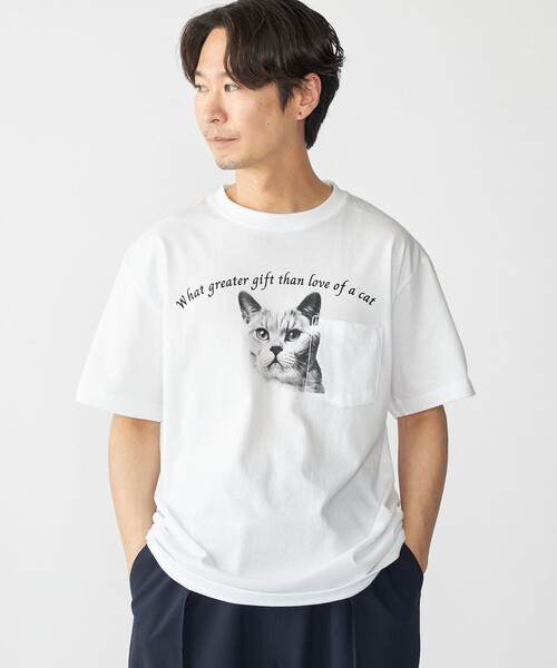 SHIPS tシャツ 「WEB限定/SHIPS別注」Regency Works: キャット