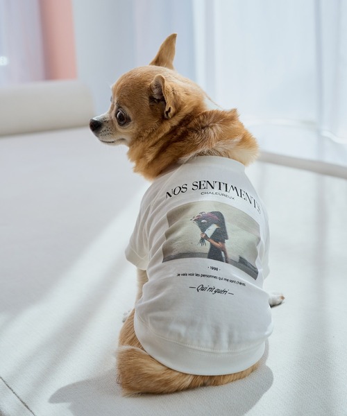 ROPE' PICNIC（ロペ ピクニック） 犬 服 「DOG」RENUフォト＆ロゴT