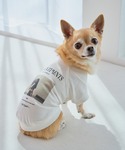 犬 服 「DOG」RENUフォト&ロゴTシャツ...の詳細画像1