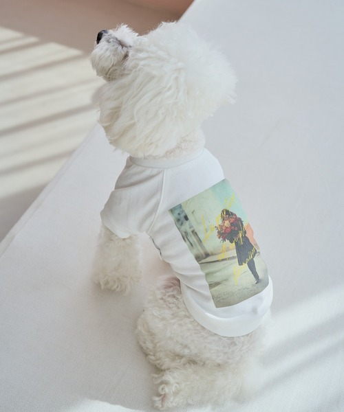 ROPE' PICNIC（ロペ ピクニック） 犬 服 「DOG」RENUフォト＆ロゴT
