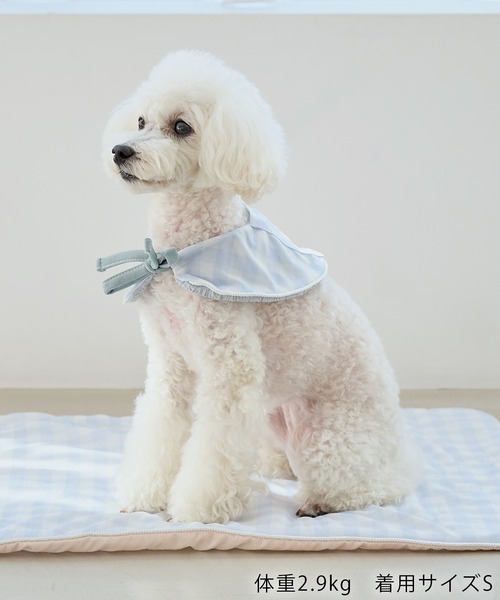 ROPE' PICNIC（ロペ ピクニック） 犬 服 「DOG」RENUフォト＆ロゴT