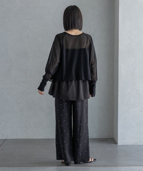 tシャツ シアーショートプルオーバー レディースの画像