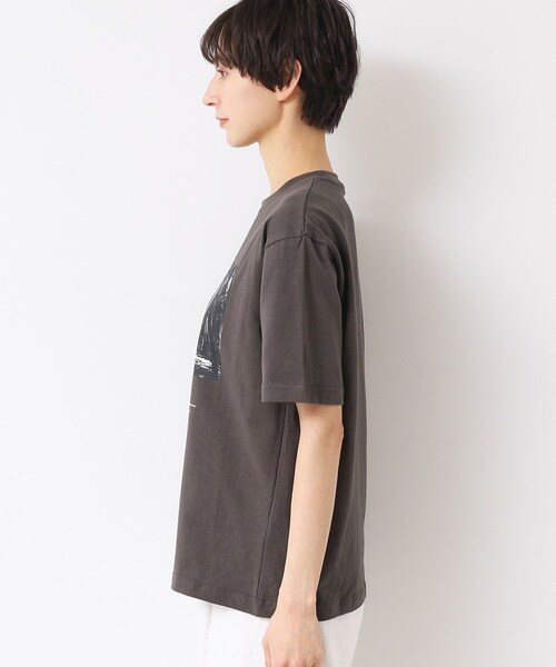 Dessin tシャツ 「ユニセックス」フォトTシャツ レディース