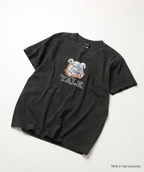 yale Tシャツ（メンズファッション） | ファッション の商品一覧 通販