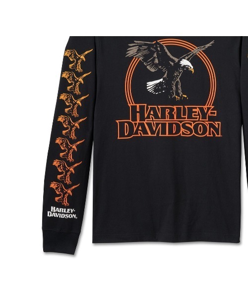 Harley Davidson tシャツ ライジングイーグルロングスリーブT