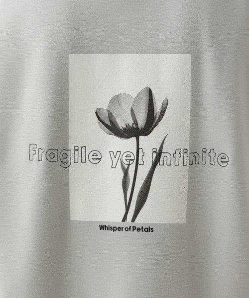 「RAGEBLUE」 半袖Tシャツ MEDIUM ホワイト メンズ